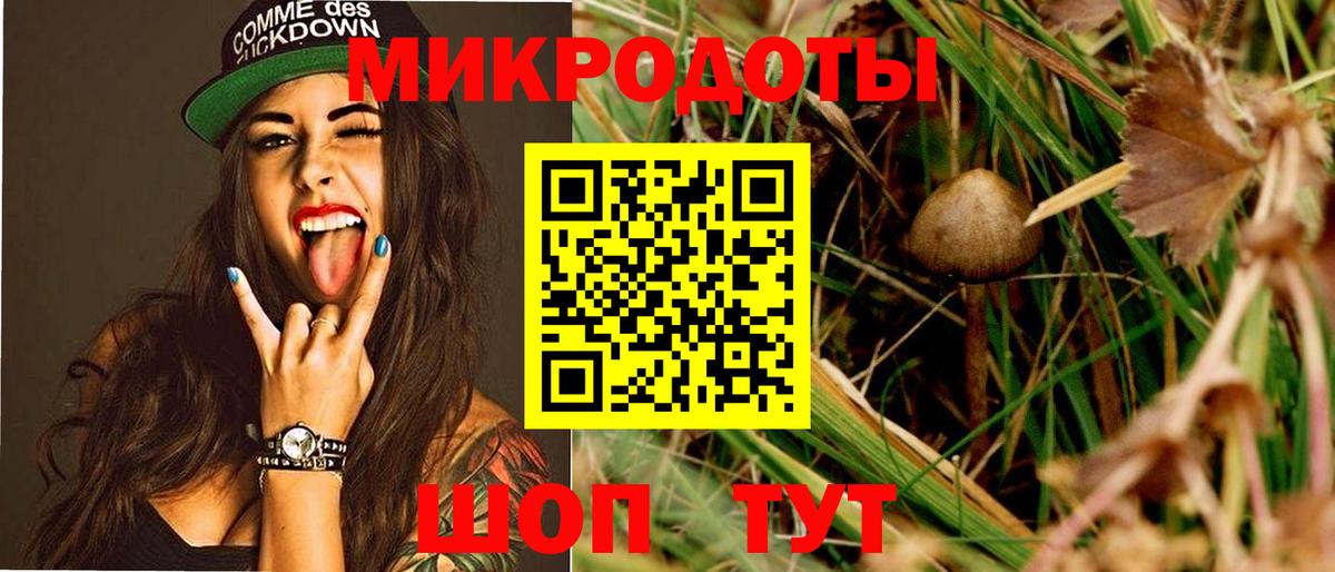 Копейск  Галлюциногенные грибы Cubensis  Вход с VPN 
